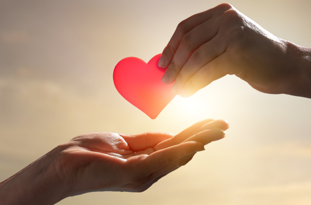 Imagenes para blog - 2025-06-14T162343.261