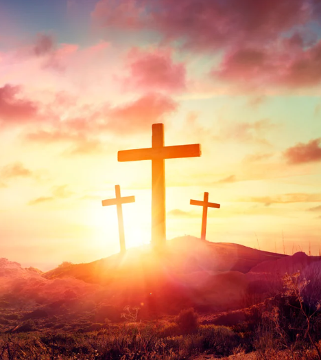 Screenshot - 2025-06-15T161151.921